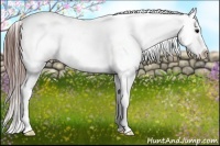 Horse Color:Black Sabino Varnish Rabicano