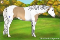 Horse Color:Silver Buckskin Splash Tobiano