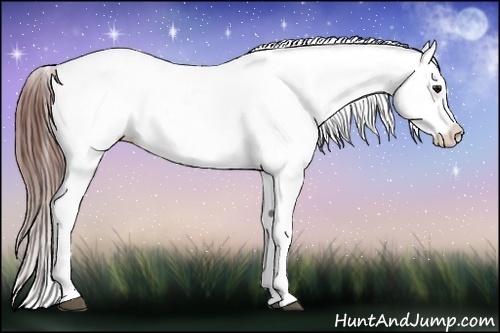 Horse Color:Brown Splash Tobiano Snowcap
