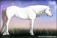 Horse Color:Brown Splash Tobiano Snowcap 