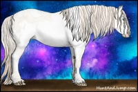 Horse Color:White Spotted Perlino Frame Rabicano 