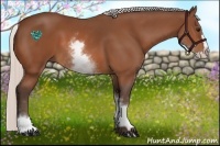 Horse Color:White Spotted Silver Bay Splash 
