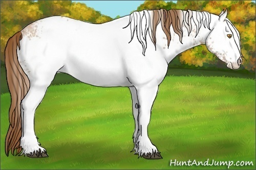 Horse Color:White Spotted Bay Ice Pearl