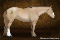 Horse Color:Black Pearl
