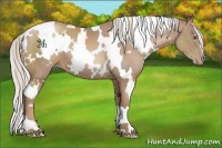 Horse Color:White Spotted Silver Black Pearl
