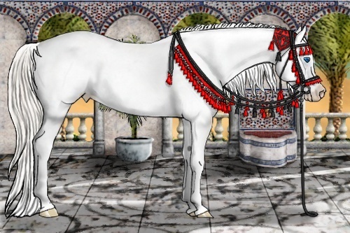 Horse Color:White Spotted Palomino Ice Pearl Frame Varnish 