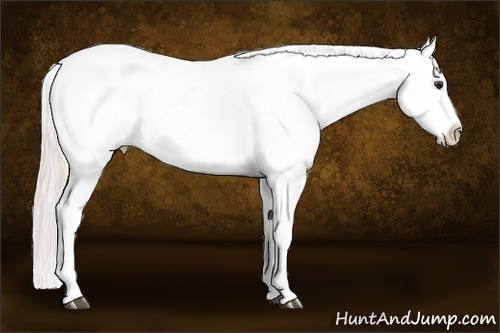Horse Color:Silver Bay Dun Tobiano Varnish 