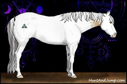 Horse Color:White Spotted Buckskin Dun Splash