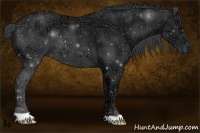 Horse Color:Black Ice 