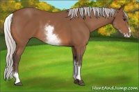 Horse Color:White Spotted Silver Bay Splash 