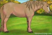 Horse Color:Watercolor Chestnut 