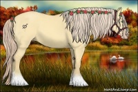 Horse Color:Gold Cream Champagne Dun 