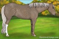 Horse Color:Silver Smoky Black 