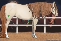 Horse Color:Smoky Grullo Pearl 