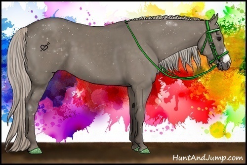 Horse Color:Silver Grullo 