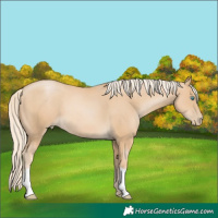 Horse Color:Palomino Pearl