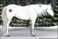 Horse Color:Chocolate Palomino Sabino Snowflake Varnish