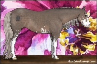 Horse Color:Silver Black Sabino 