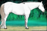 Horse Color:Liver Chestnut Pearl Sabino Varnish Rabicano