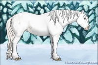 Horse Color:White Spotted Silver Bay Splash