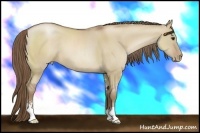 Horse Color:Grullo Pearl Sabino