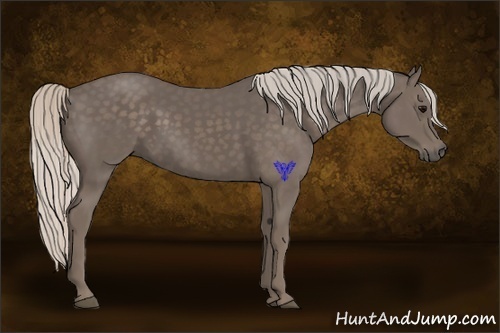 Horse Color:Silver Black
