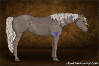 Horse Color:Silver Black 