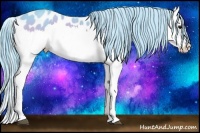 Horse Color:Watercolor Bay Splash Appaloosa