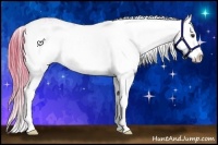 Horse Color:Watercolor Red Dun Sabino Splash Varnish 