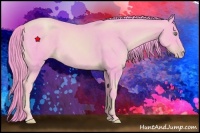 Horse Color:Watercolor Gold Champagne 