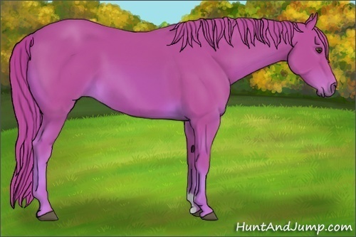 Horse Color:Watercolor Chestnut 