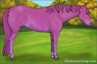 Horse Color:Watercolor Chestnut 