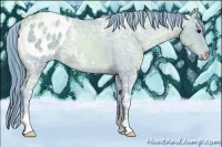 Horse Color:Watercolor Black Ice Pearl Appaloosa 