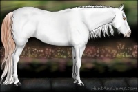 Horse Color:Sable Champagne Varnish