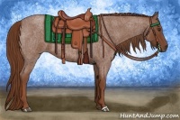 Horse Color:Red Roan 