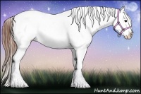 Horse Color:Blue Roan Sabino Frame Appaloosa 