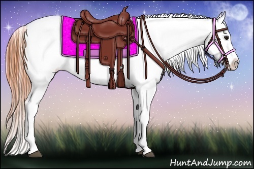 Horse Color:Bay Roan Snowcap