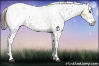 Horse Color:Brown Roan Snowcap 