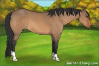 Horse Color:Bay Dun