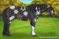 Horse Color:Brown Ice 