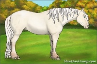 Horse Color:Silver Amber Cream Champagne Pearl Dun