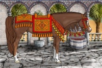 Horse Color:Chestnut Sabino