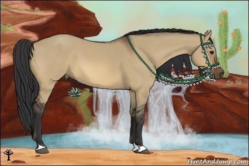 Horse Color:Bay Dun