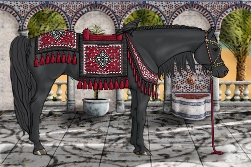 Horse Color:Black 