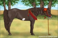 Horse Color:Liver Chestnut Frame 