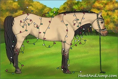 Horse Color:Bay Dun Rabicano