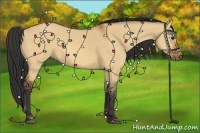 Horse Color:Bay Dun Rabicano 