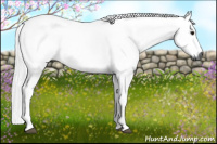 Horse Color:Gray Bay 