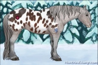 Horse Color:Brown Frame Near Leopard