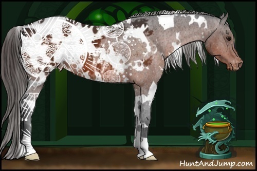 Horse Color:White Spotted Bay Blanket